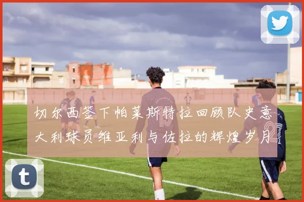 切尔西签下帕莱斯特拉回顾队史意大利球员维亚利与佐拉的辉煌岁月