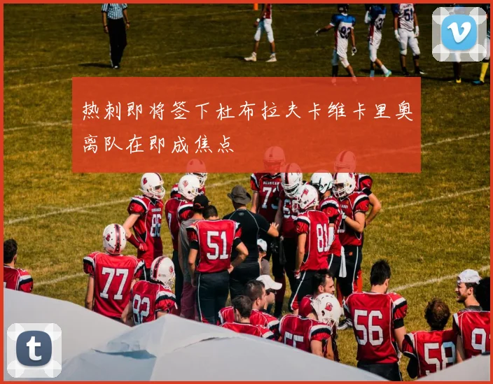 热刺即将签下杜布拉夫卡维卡里奥离队在即成焦点